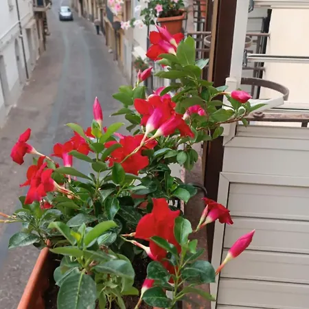 Da Zia Rosina Guest house Lamezia Terme